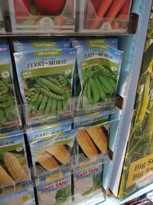 How to Grow Peas in the Humid Cold: Quick Crops for the Cushion